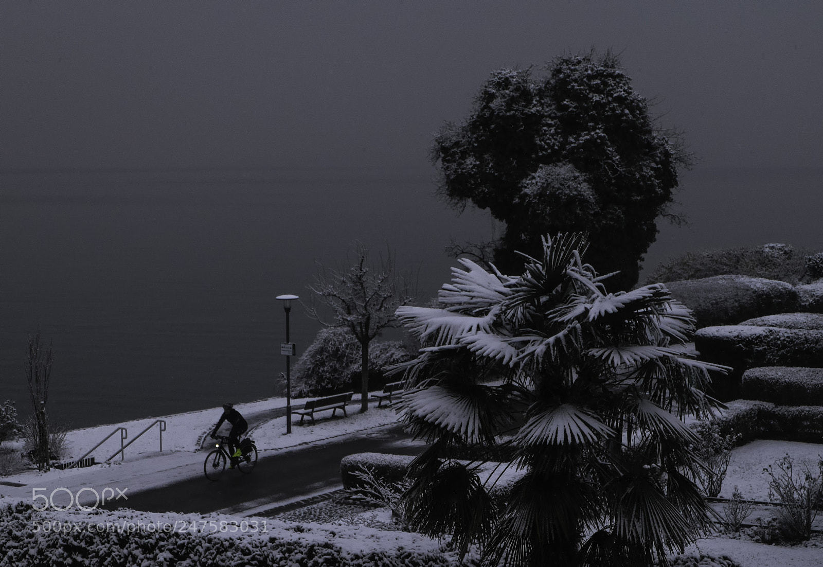 Fujifilm X-T1 sample photo. Snowbiking photography