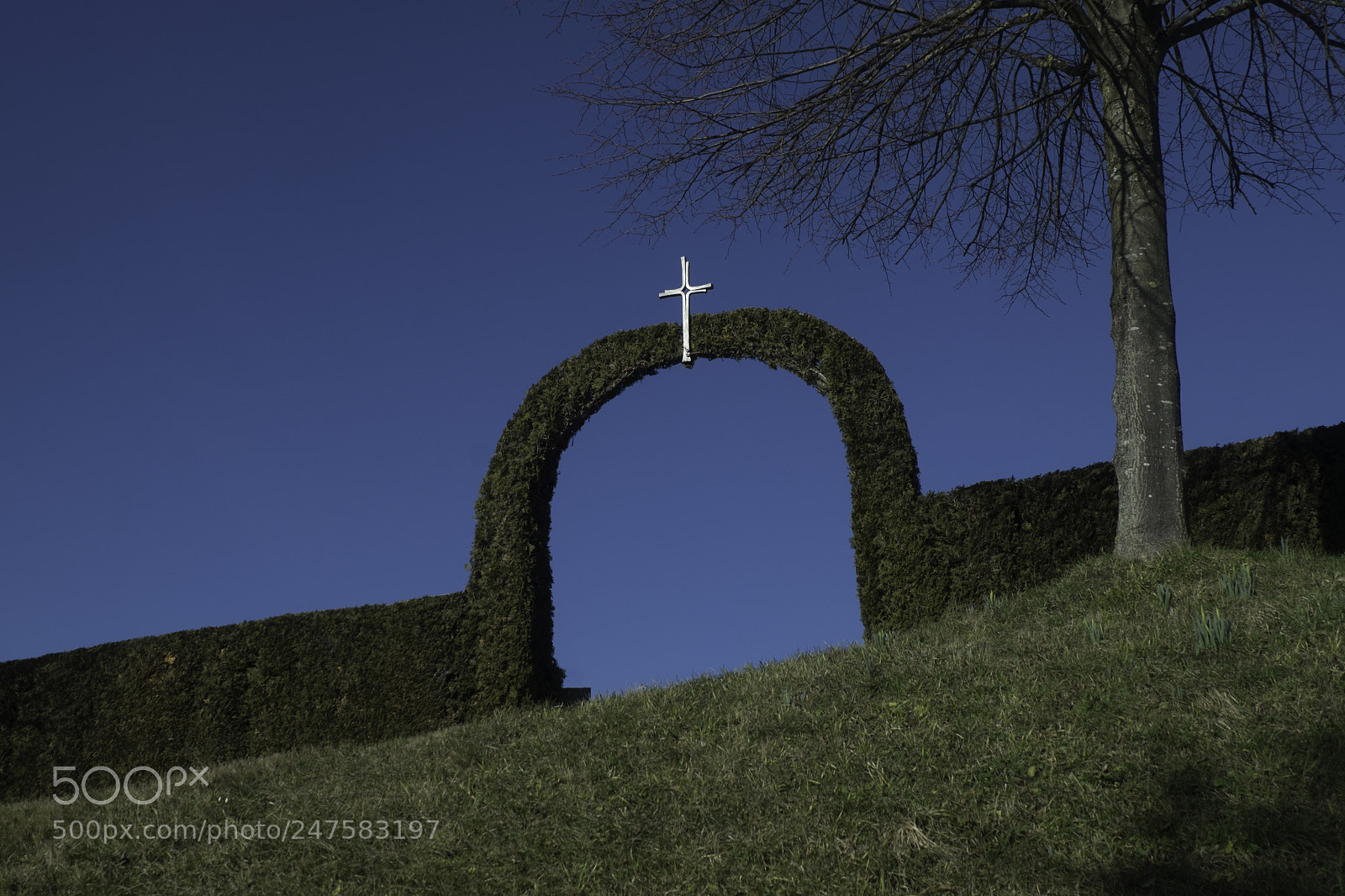 Fujifilm X-T1 sample photo. Eingang und ausgang photography