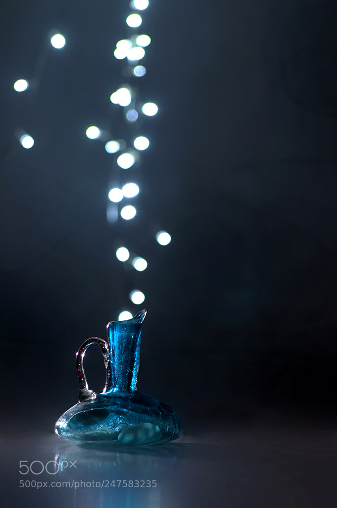 Nikon D90 sample photo. Bookeh photography