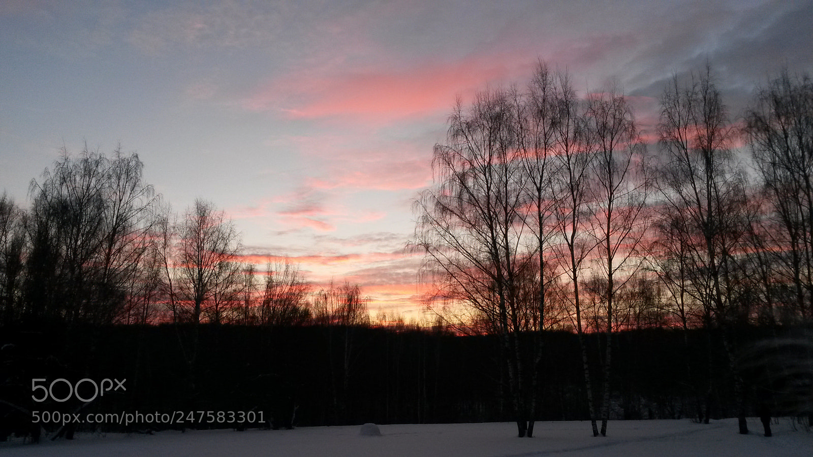 Samsung Galaxy S4 Mini sample photo. Untitled photography