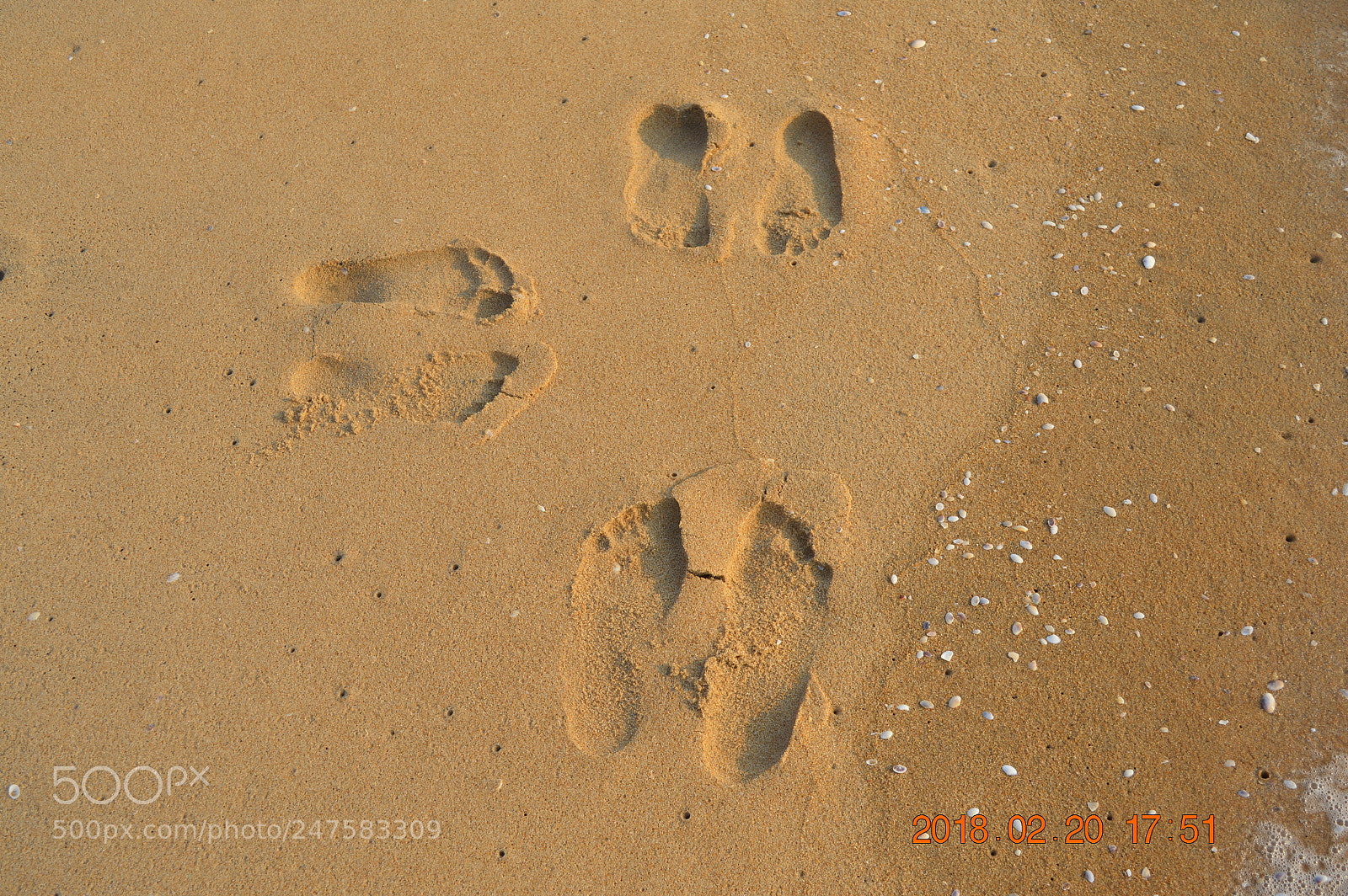 Nikon D3200 sample photo. Untitled photography