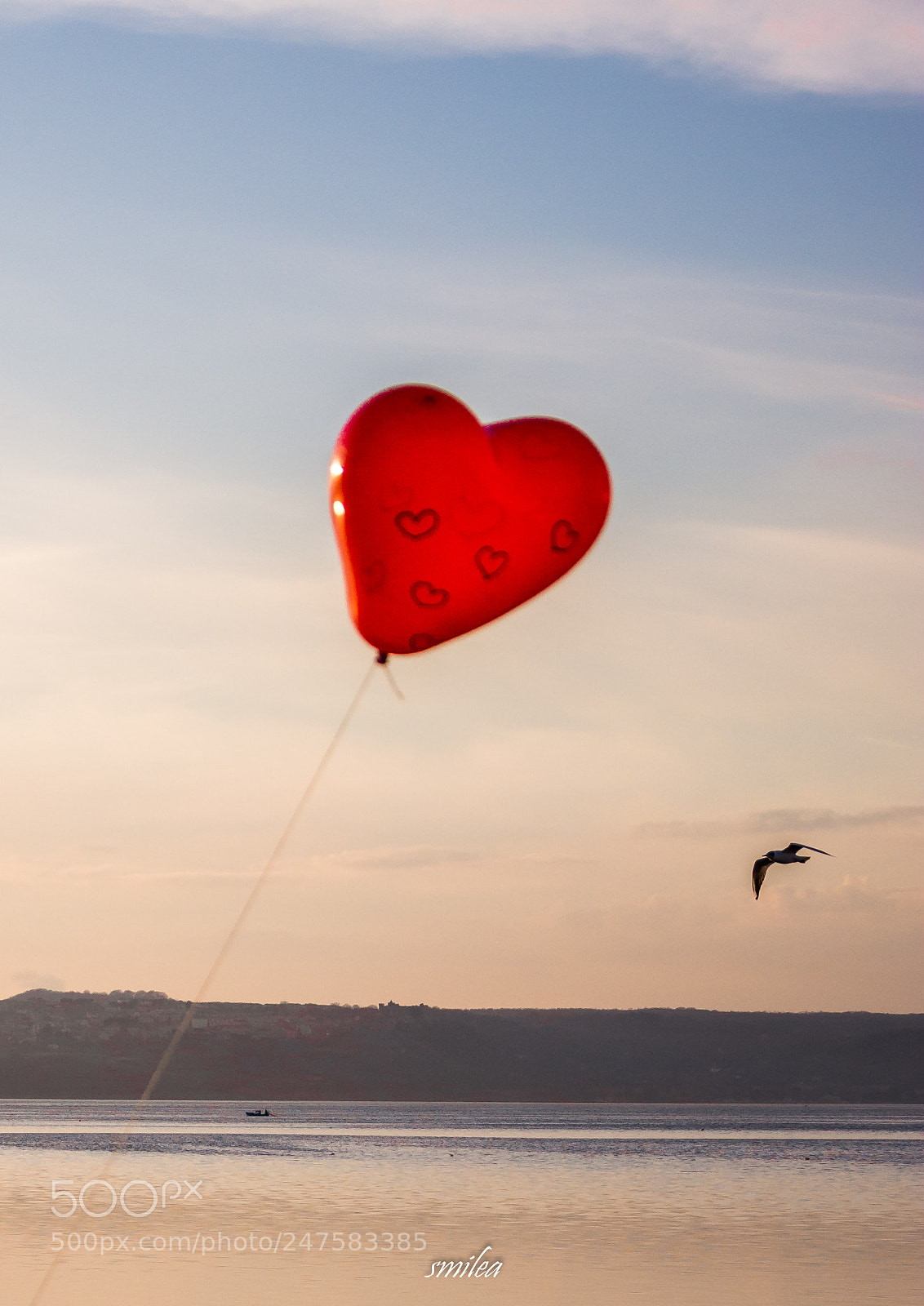 Nikon D7100 sample photo. Light heart ❤️ photography