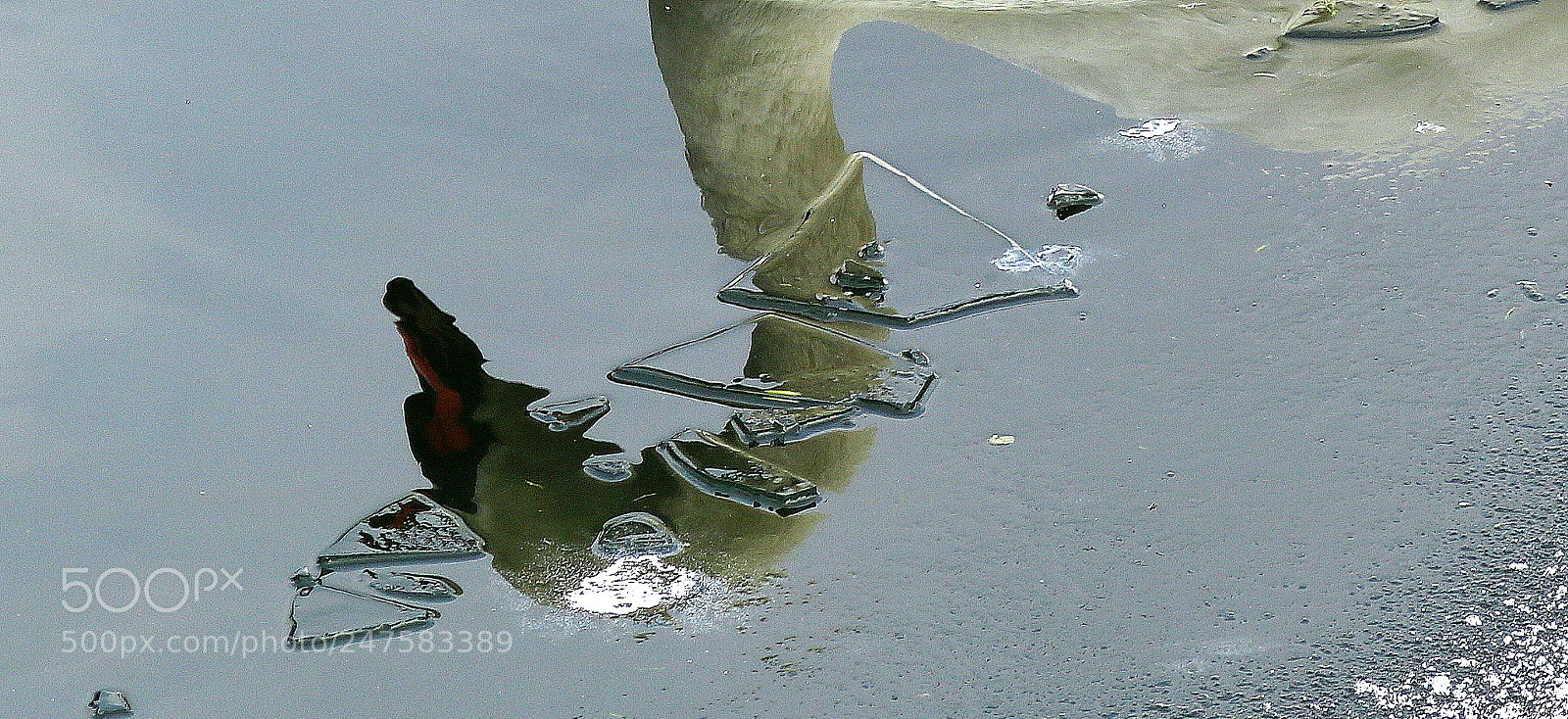Canon EOS 750D (EOS Rebel T6i / EOS Kiss X8i) sample photo. "unter dem eis" photography