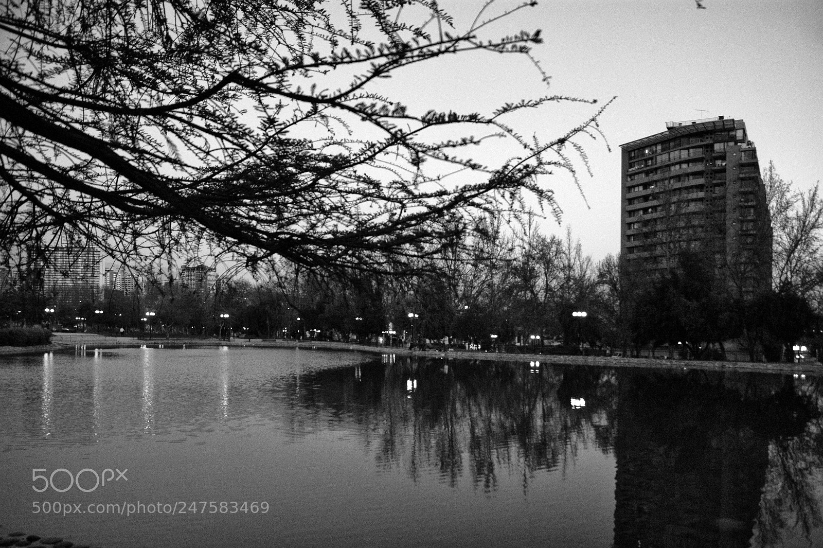 Sony Alpha DSLR-A290 sample photo. Santiago de chile photography