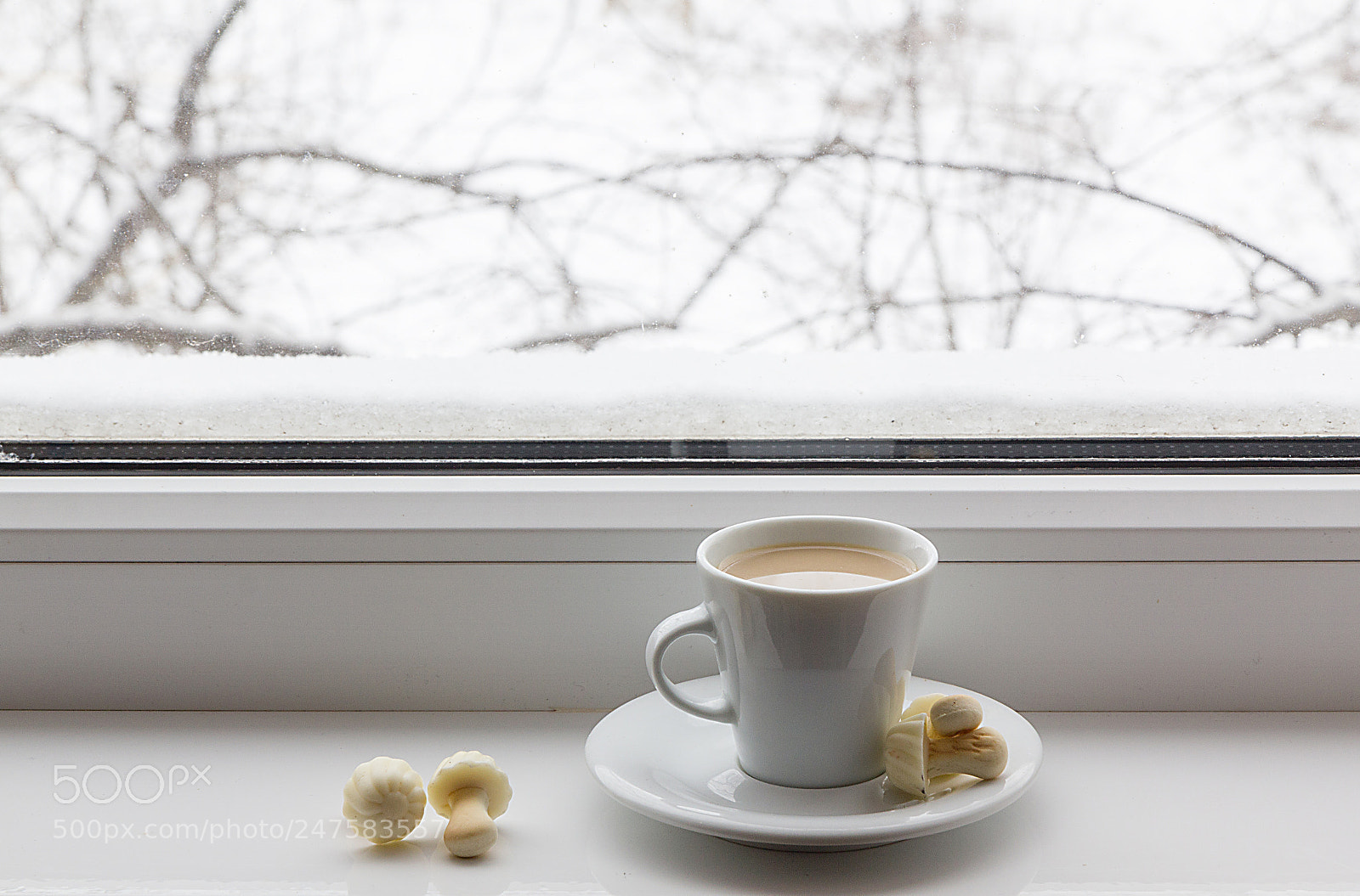 Canon EOS 550D (EOS Rebel T2i / EOS Kiss X4) sample photo. Coffee and snow photography