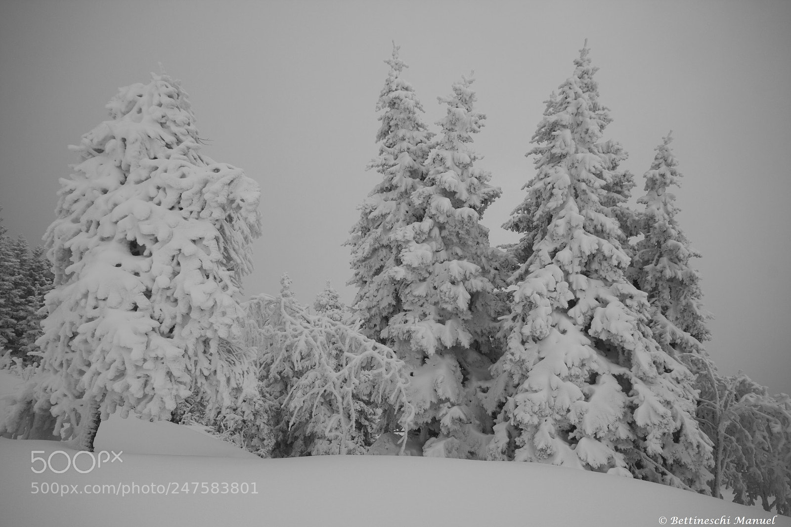 Canon EOS 40D sample photo. Cold winter photography
