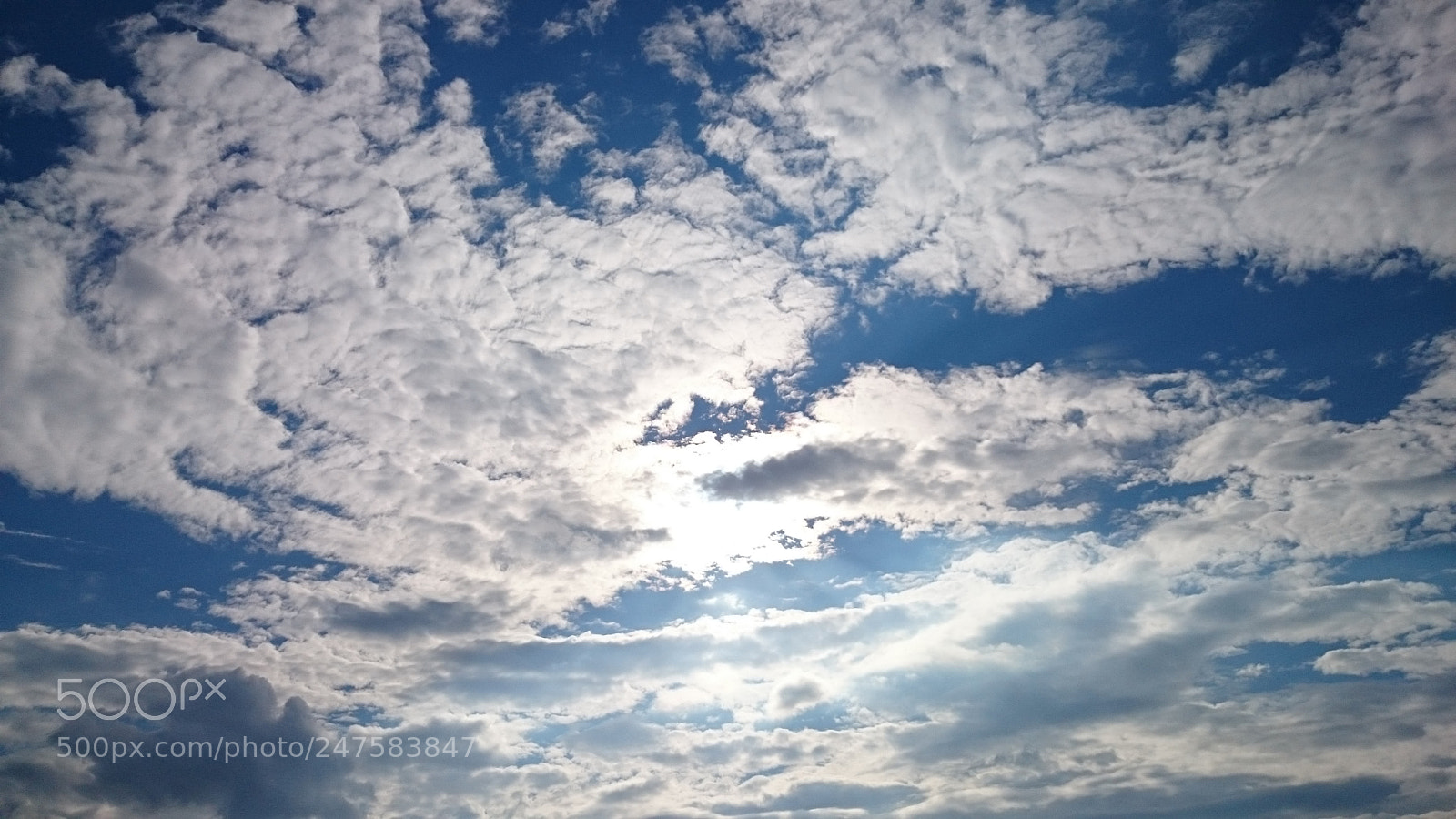 Sony Xperia Z2 sample photo. Dsc_0018_1.jpg photography