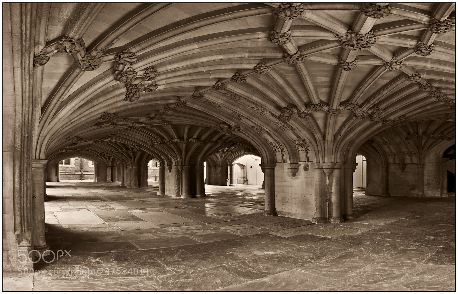 Canon EOS M6 sample photo. The fan vaulted undercroft photography