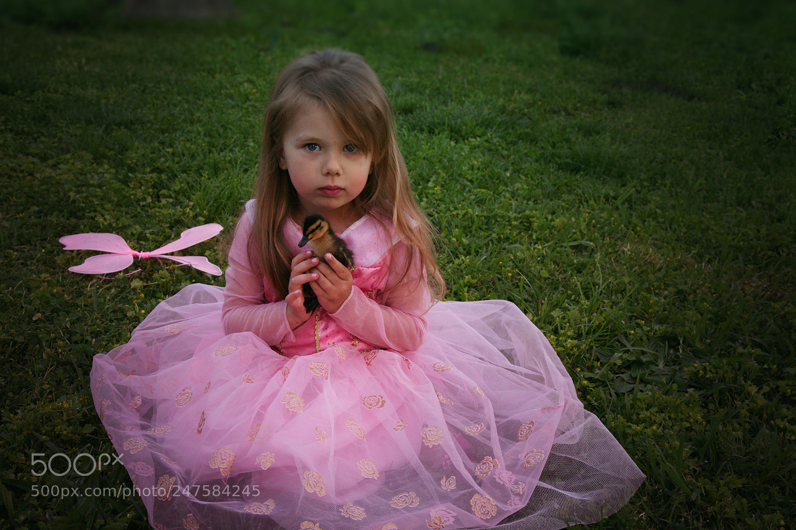 Canon EOS 5D sample photo. Best friend photography