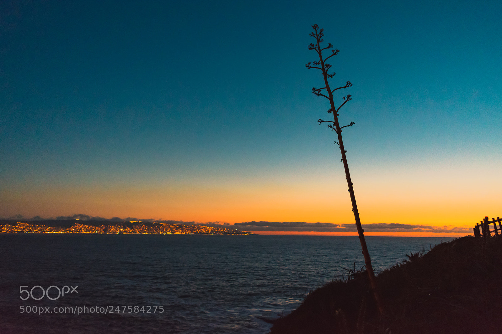 Nikon D3400 sample photo. Sunset at the sea photography