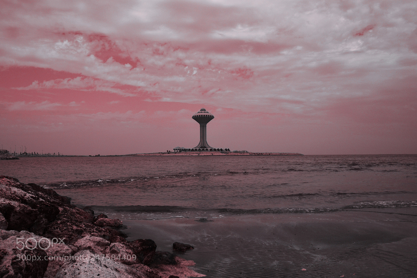 Nikon D3100 sample photo. Untitled photography