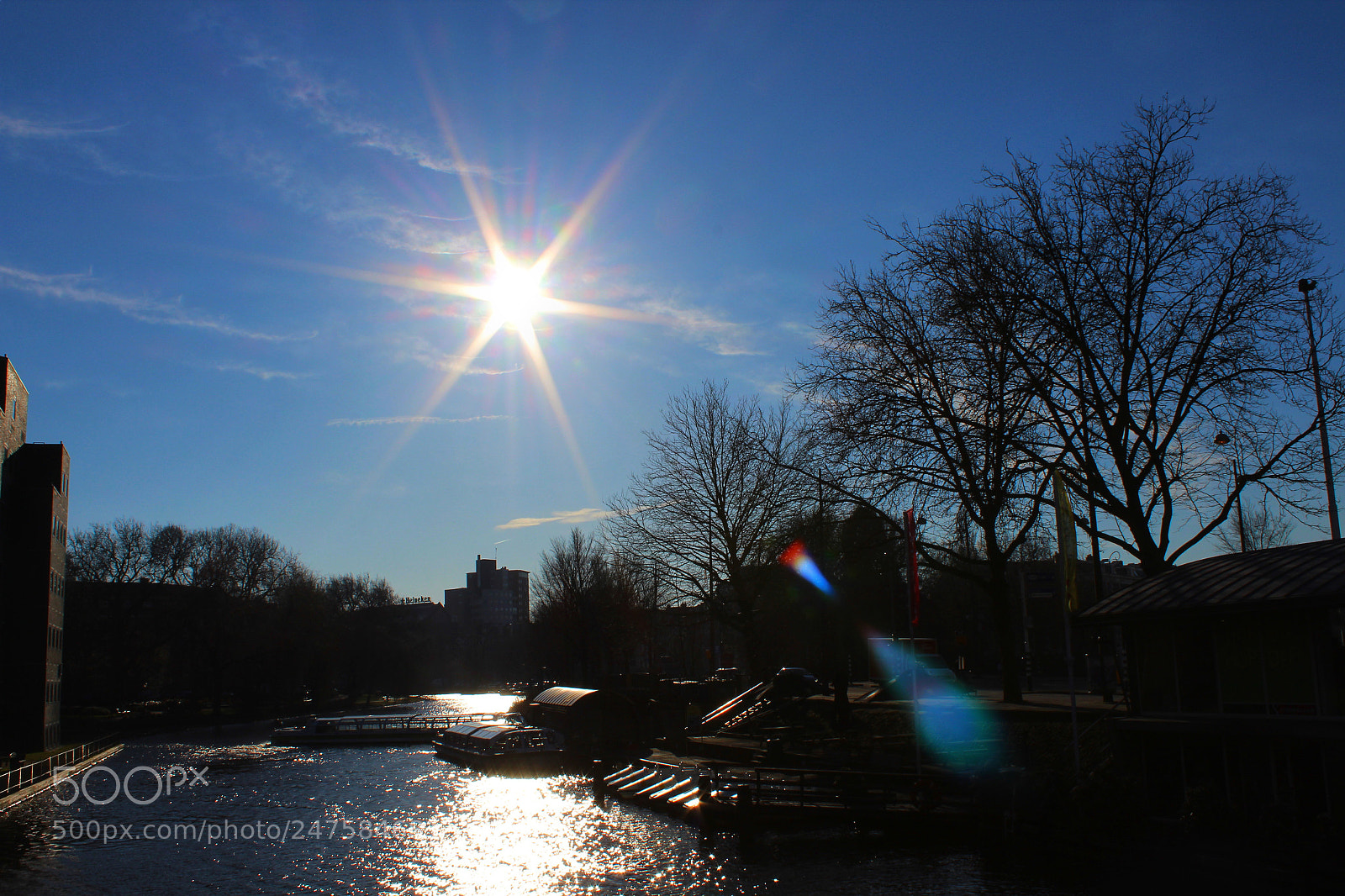 Canon EOS 1300D (EOS Rebel T6 / EOS Kiss X80) sample photo. Amsterdam mornings photography