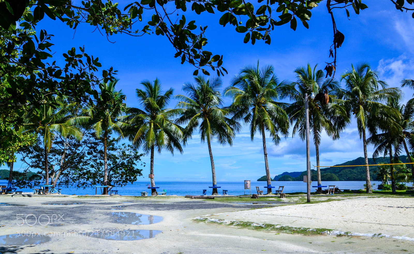 Nikon D3100 sample photo. Tropical park of palau photography