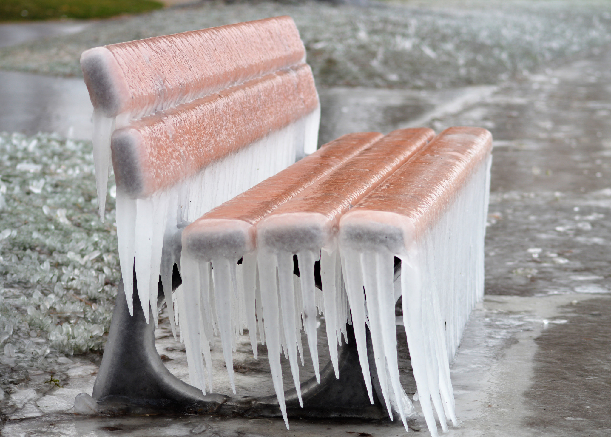 Sigma 70-300mm F4-5.6 APO DG Macro sample photo. Banc recouvert de glace. photography