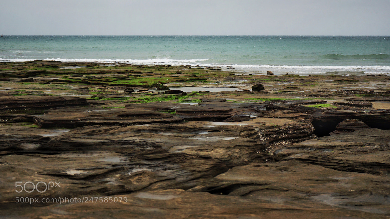 Sony a7 II sample photo. 渾然天成 photography