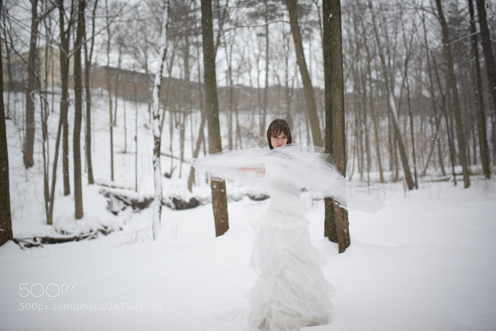 Nikon D610 sample photo. Untitled photography