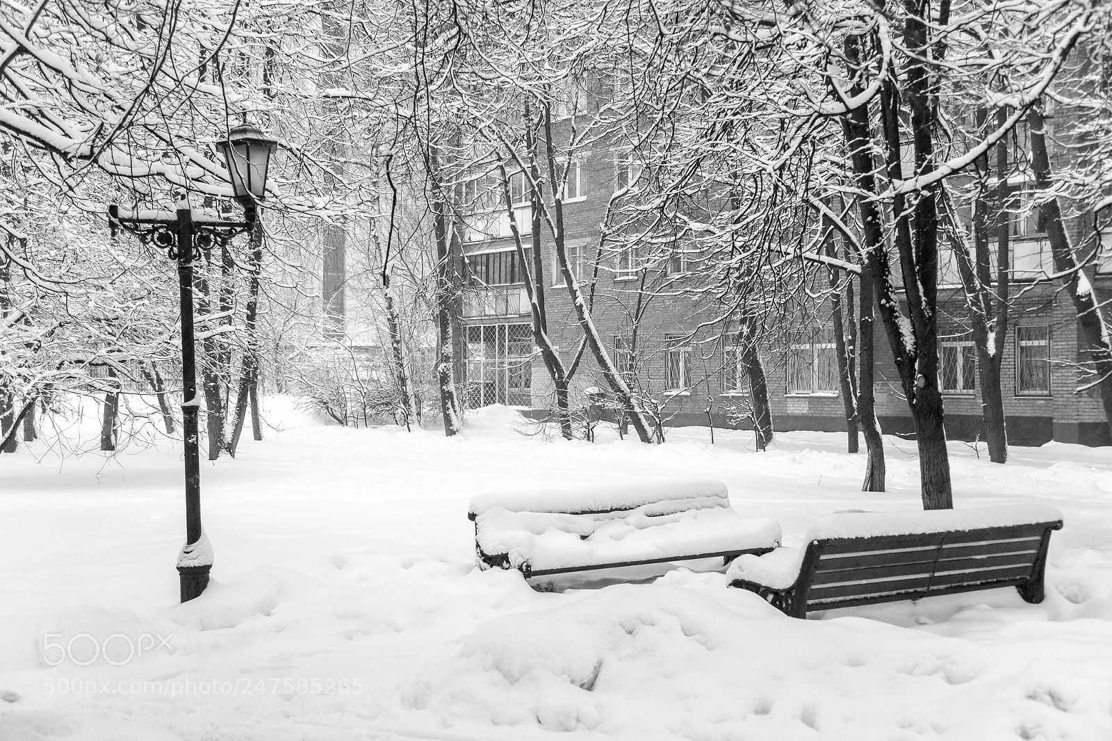 Sony Alpha DSLR-A900 sample photo. Winter sketches photography