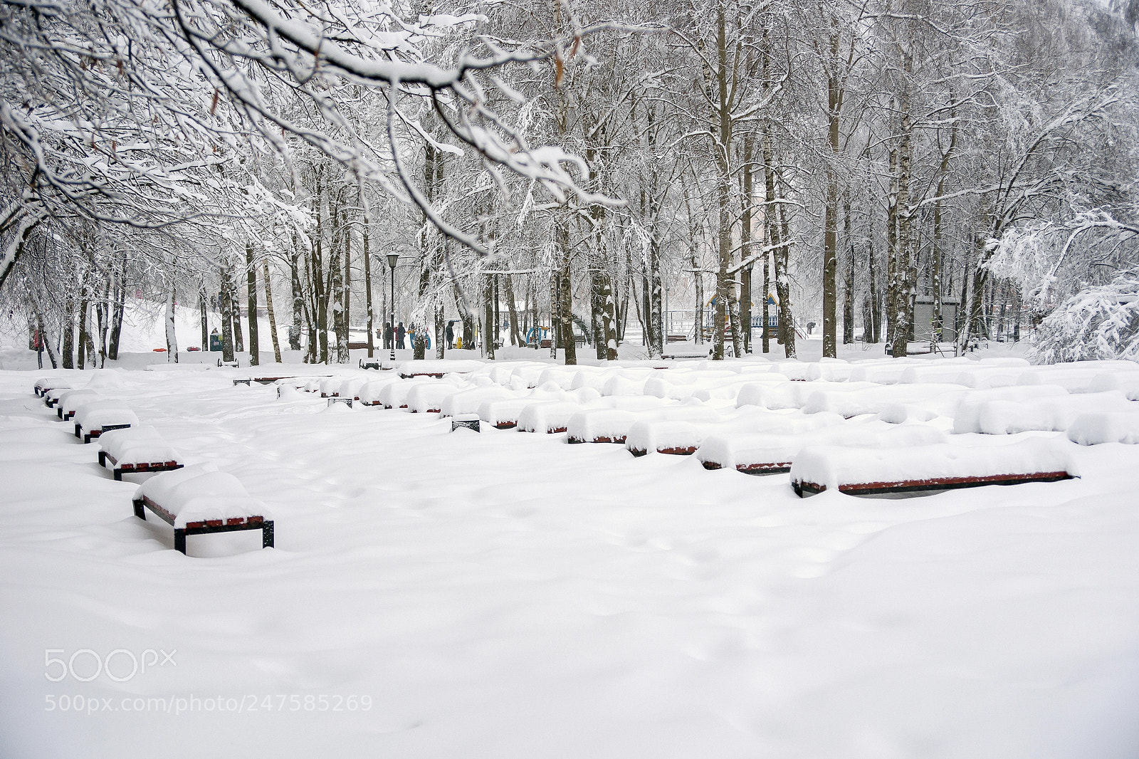 Sony Alpha DSLR-A900 sample photo. Winter sketches photography
