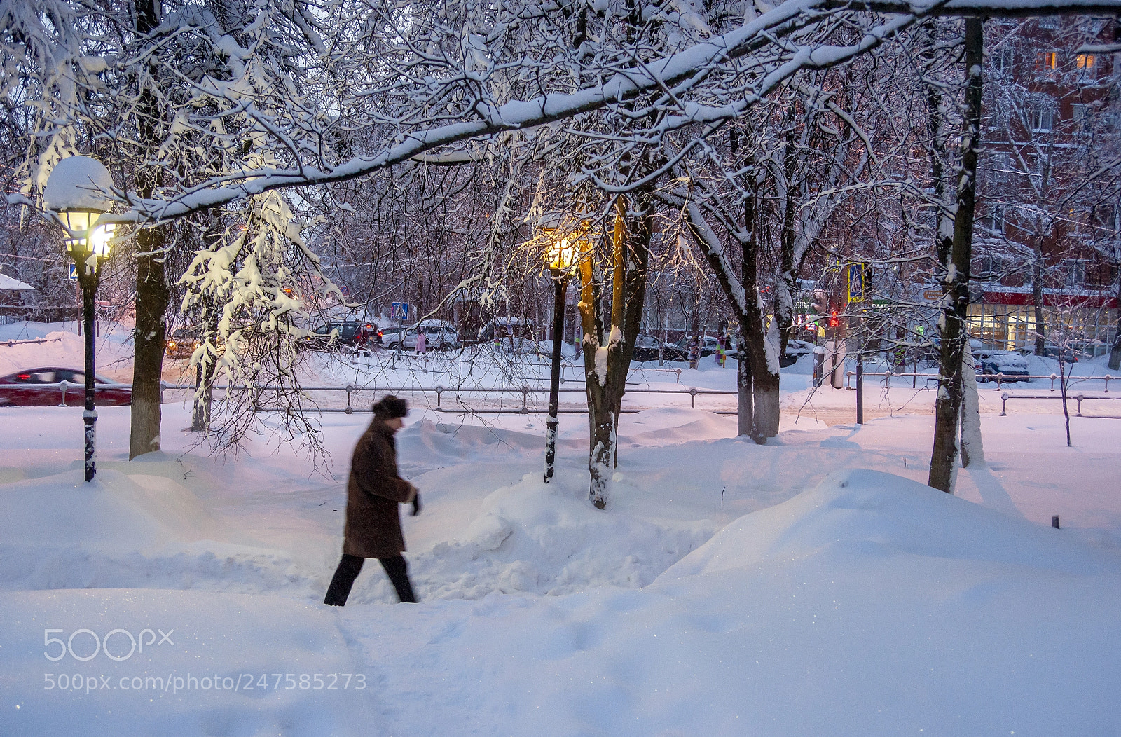 Sony Alpha DSLR-A900 sample photo. Snowy morning photography