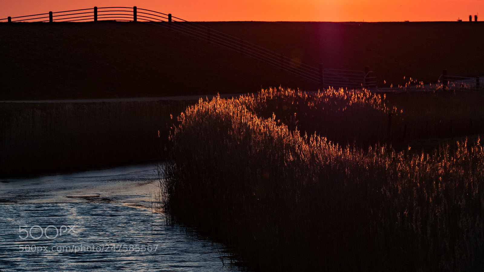 Nikon D300S sample photo. Golden hour photography
