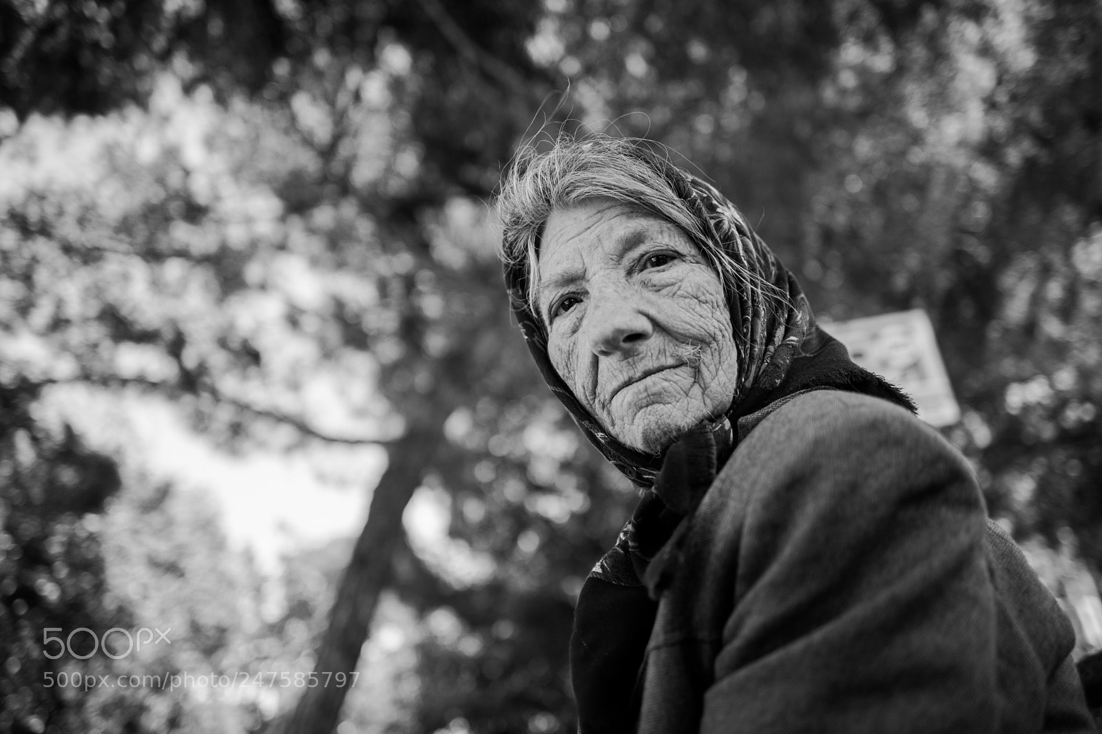 Leica Q (Typ 116) sample photo. Untitled photography