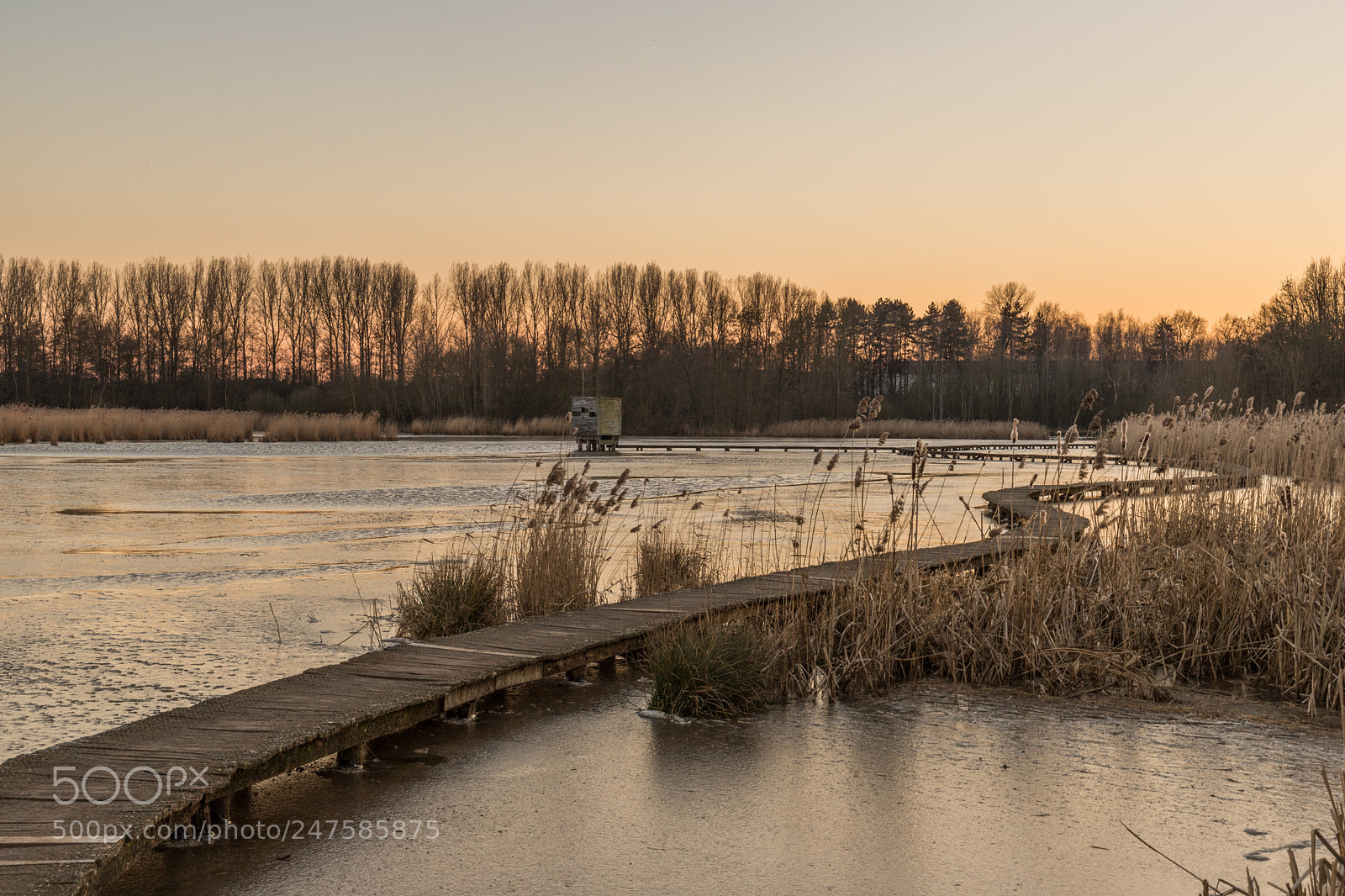 Canon EOS 6D Mark II sample photo. Sunset at "het vinne" photography