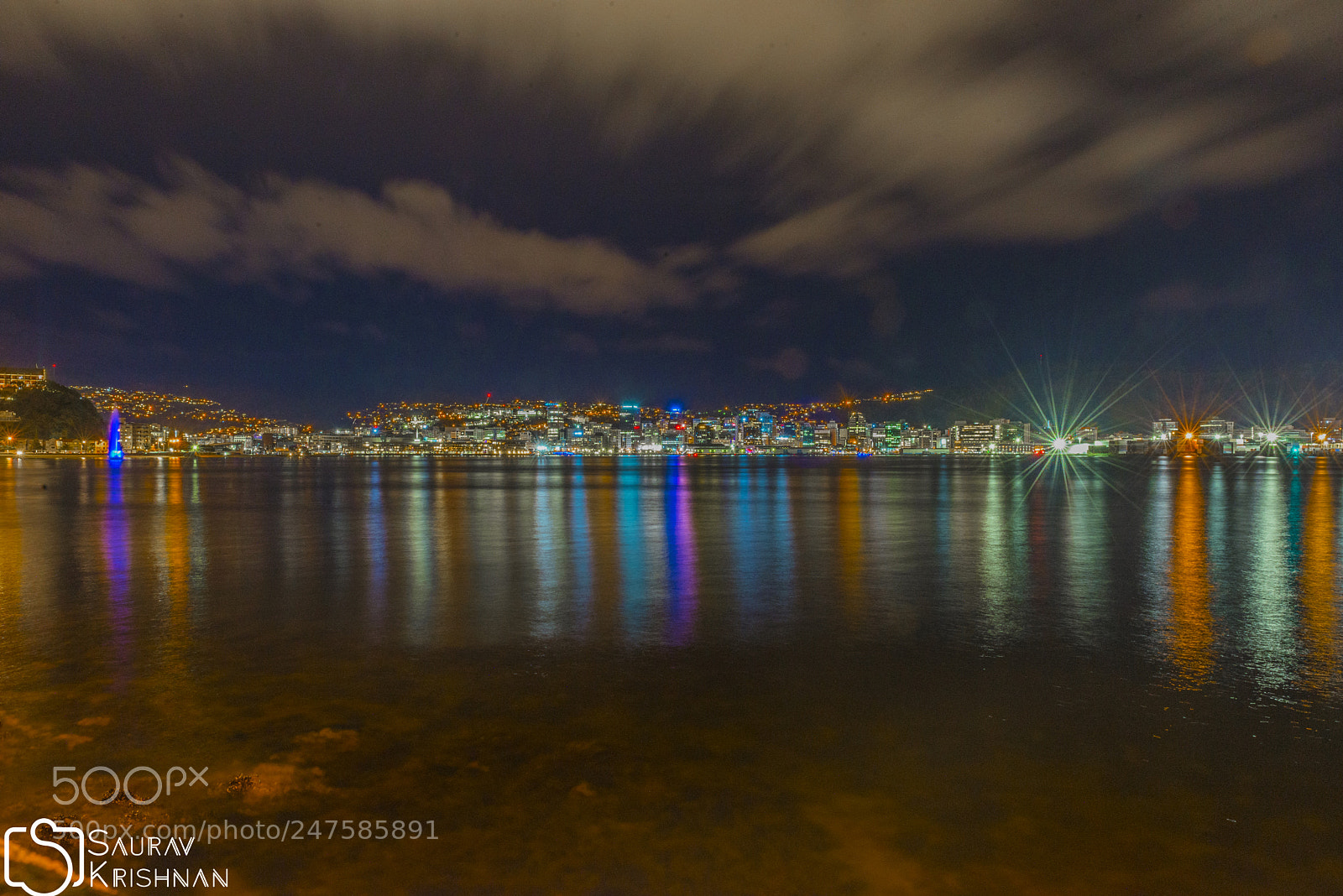 Nikon D600 sample photo. Wellington photography
