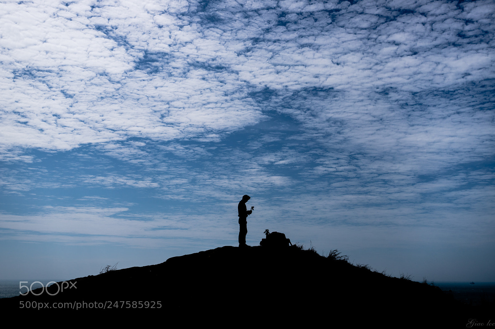 Canon EOS 6D Mark II sample photo. 26644797438.jpg photography