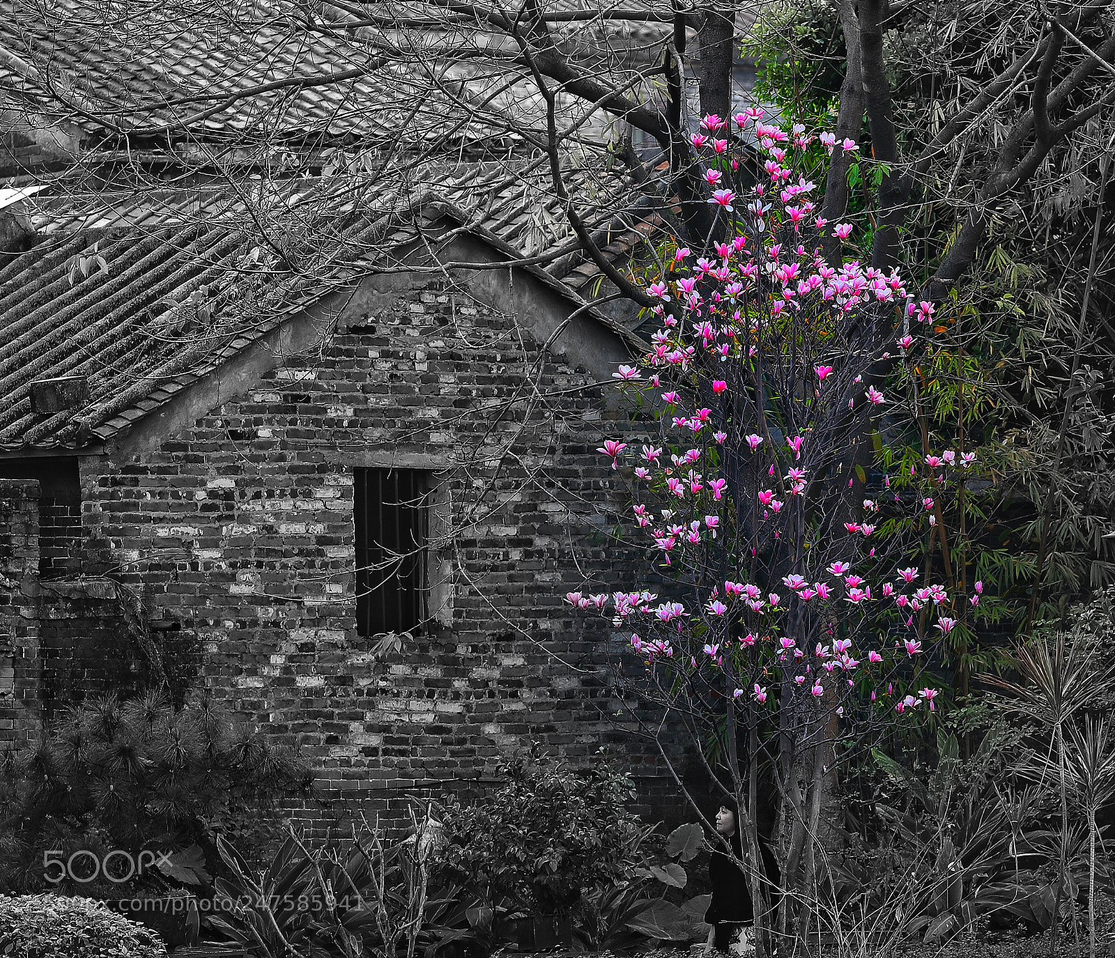Canon EOS-1D X Mark II sample photo. Untitled photography