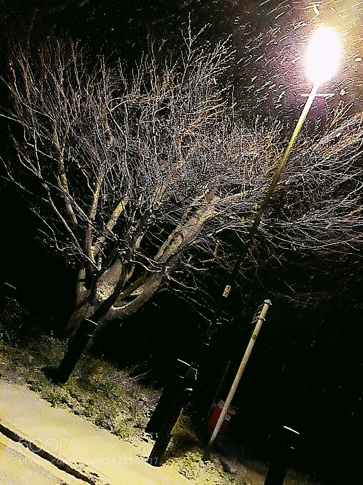 Samsung Galaxy A3(2017) sample photo. Snow photography