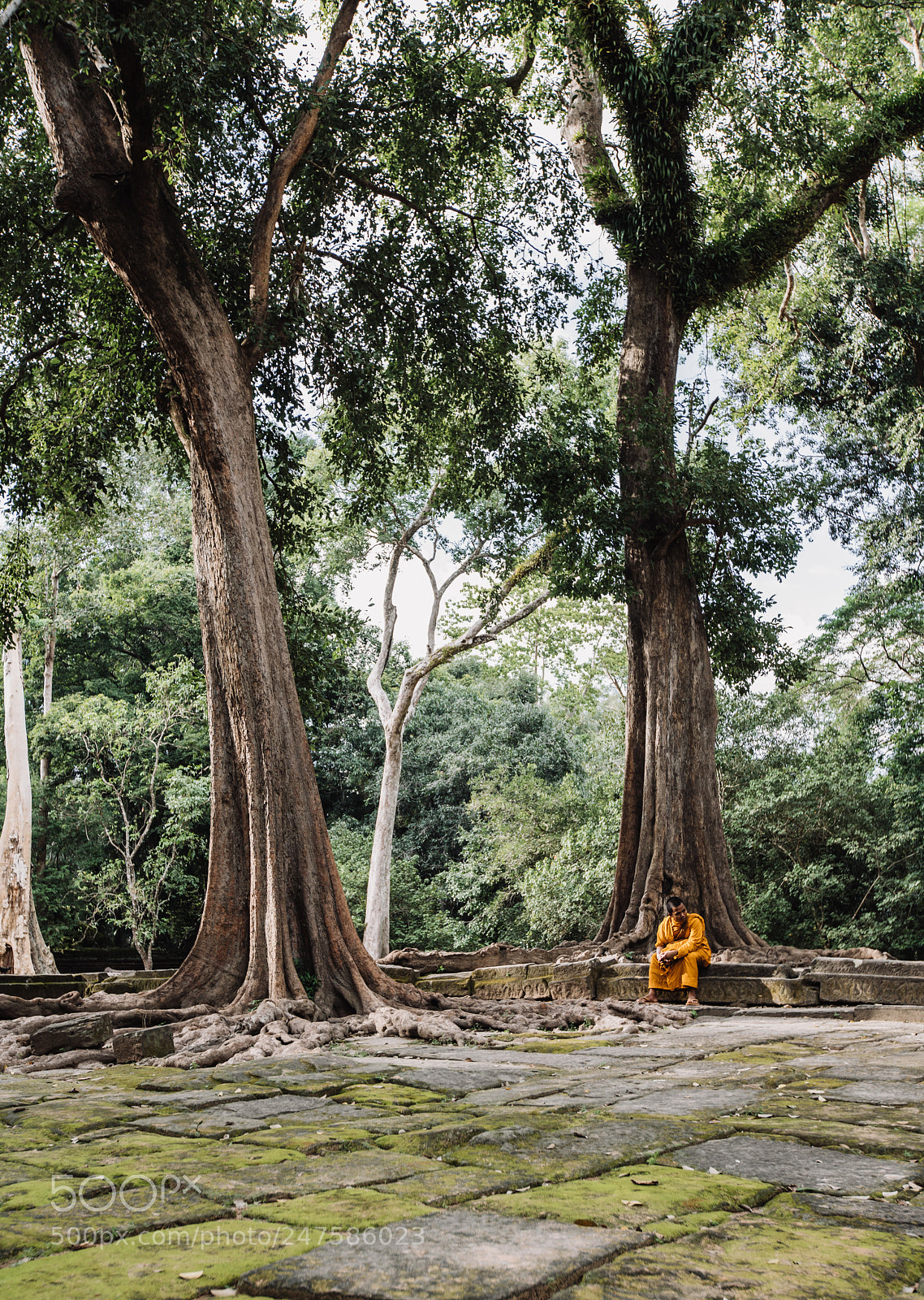 Sony a7R II sample photo. Ankor wat photography