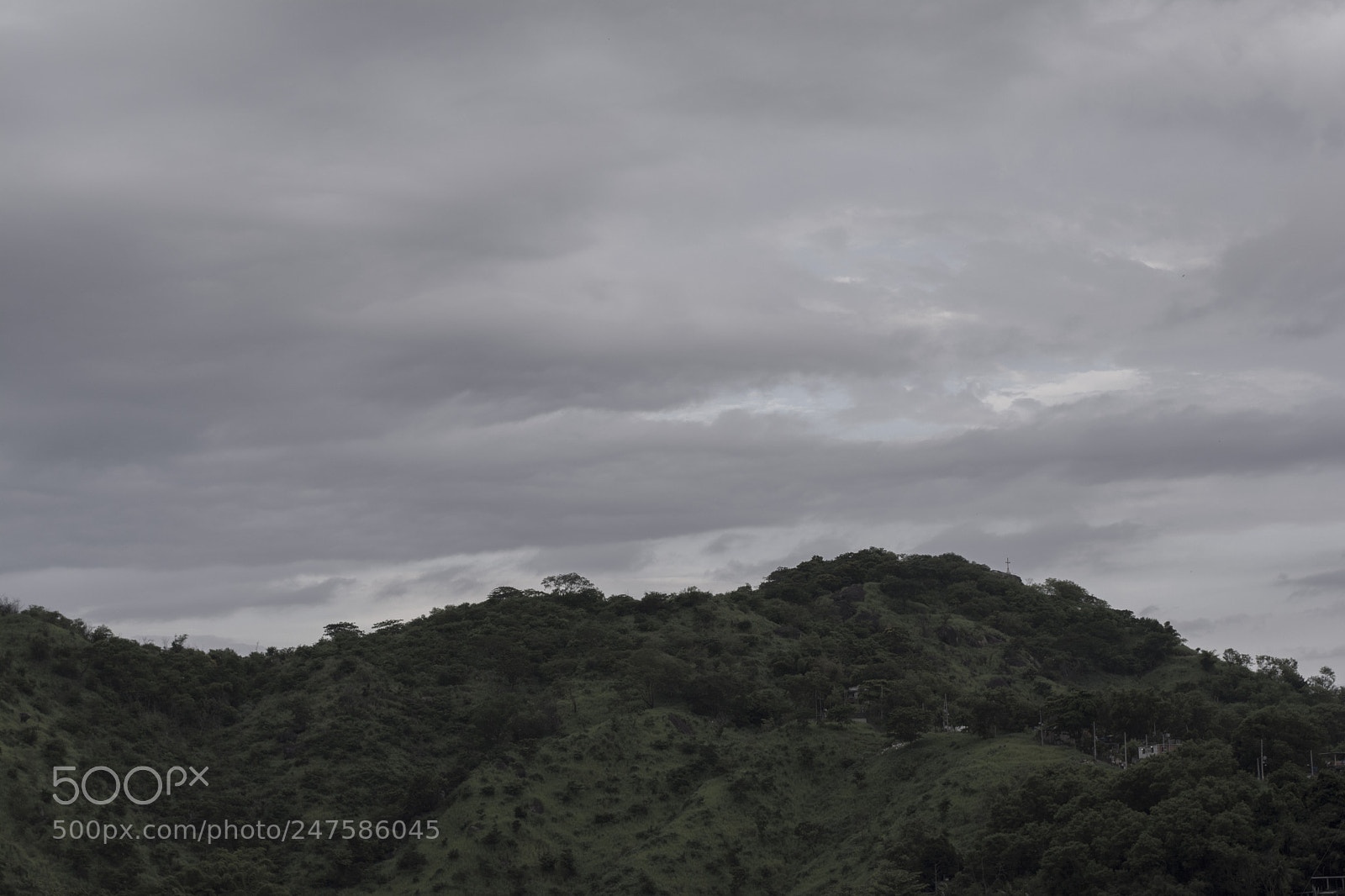 Nikon D5200 sample photo. Untitled photography