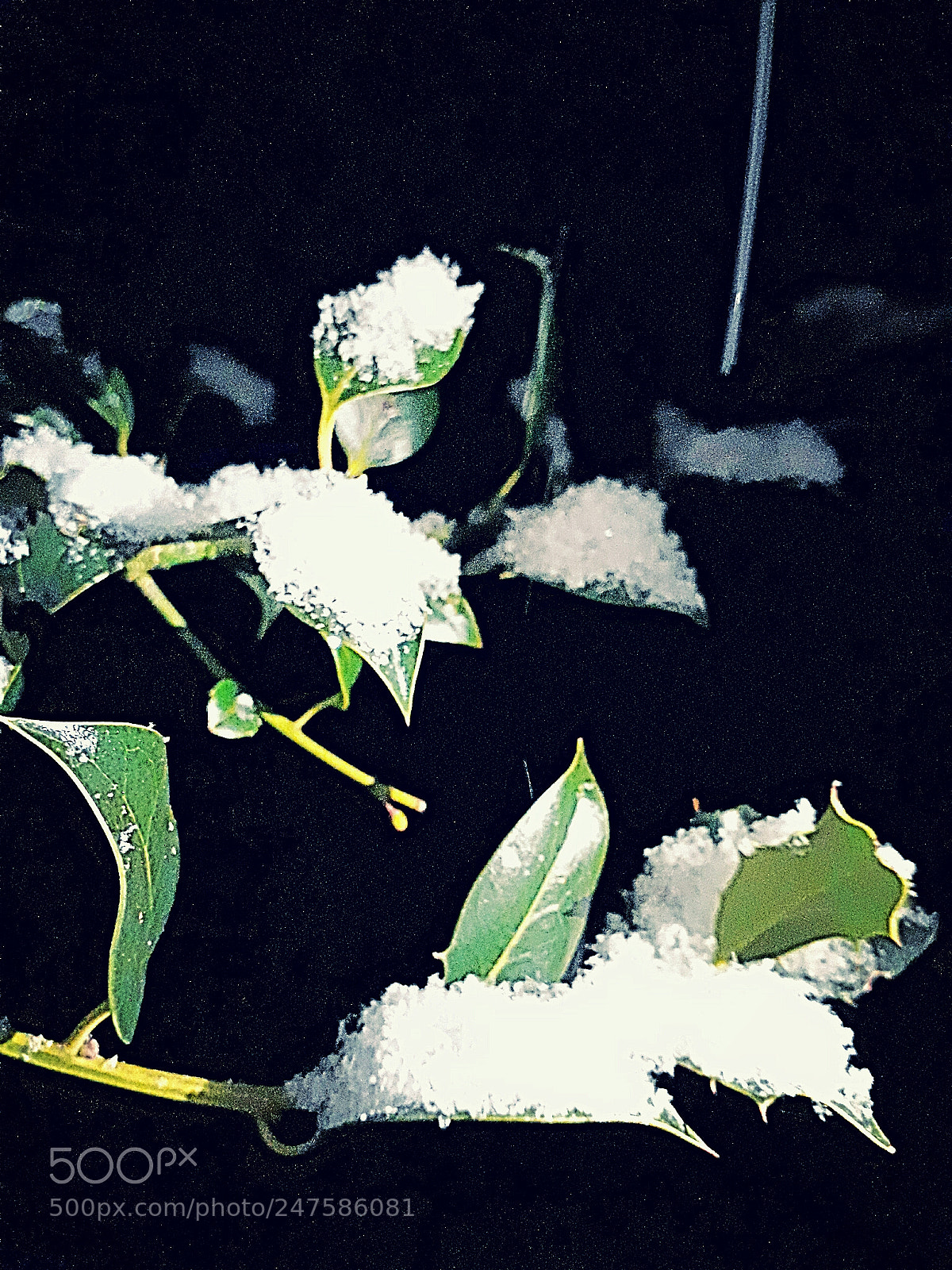 Samsung Galaxy A3(2017) sample photo. Snow photography