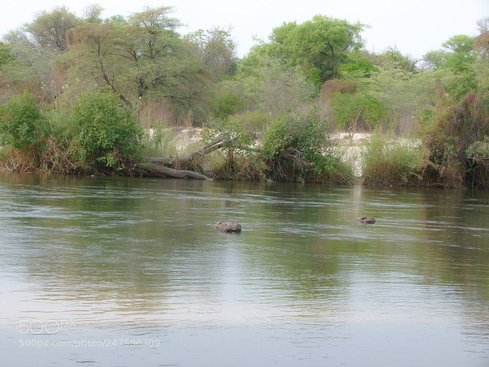 Panasonic Lumix DMC-FZ100 sample photo. Okavango river botswana photography