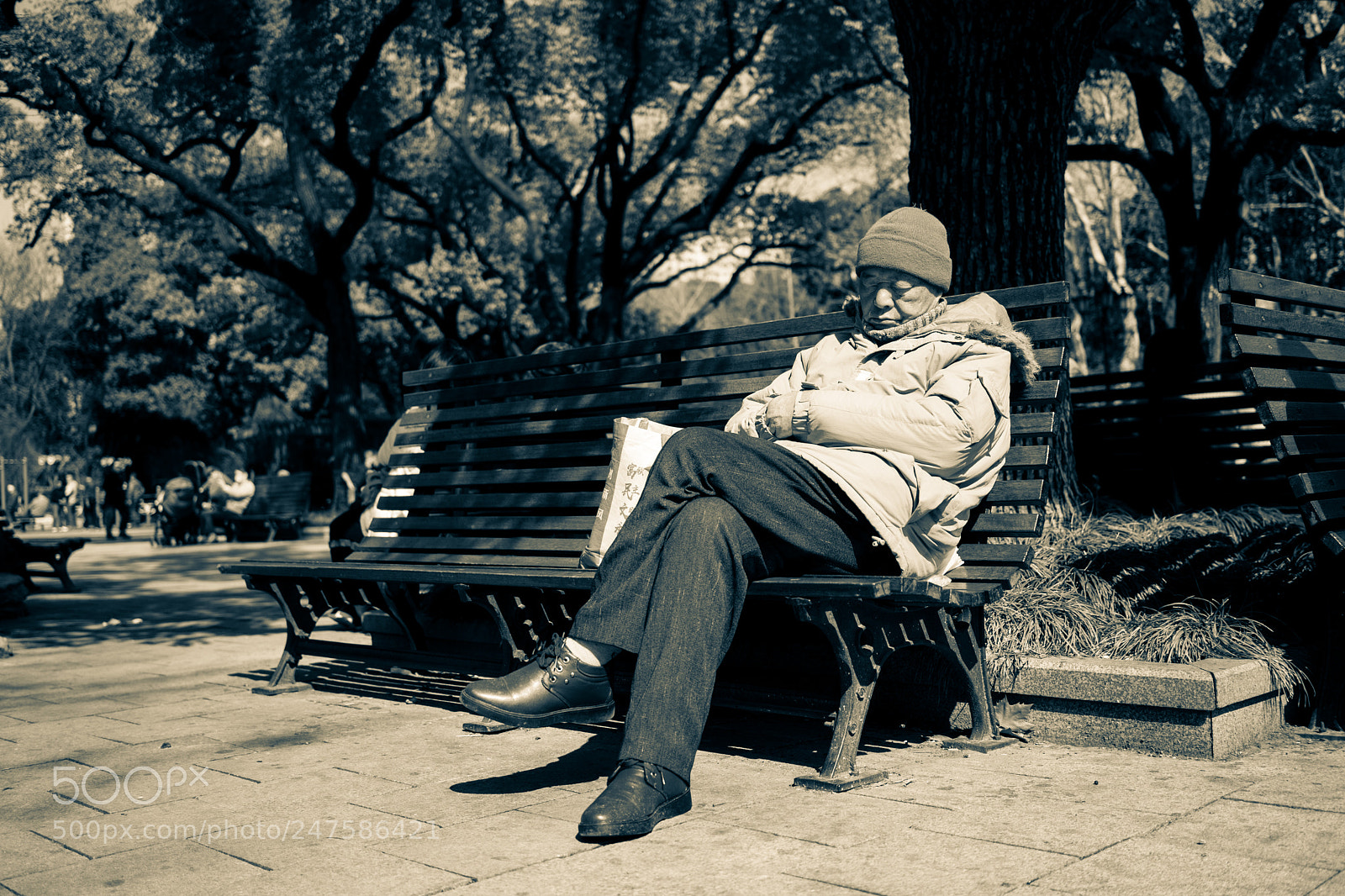 Sony a7 sample photo. Having a nap photography
