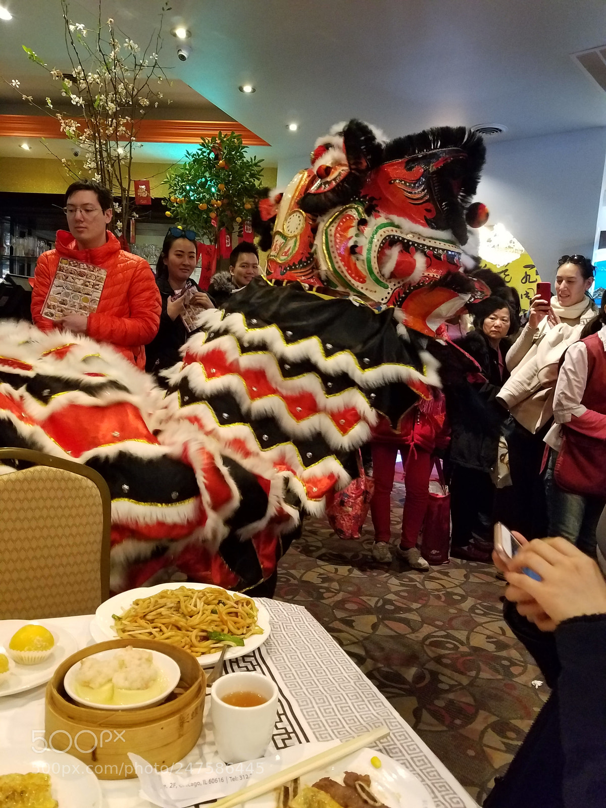 Samsung Galaxy S7 sample photo. Dragon in chinatown chicago photography