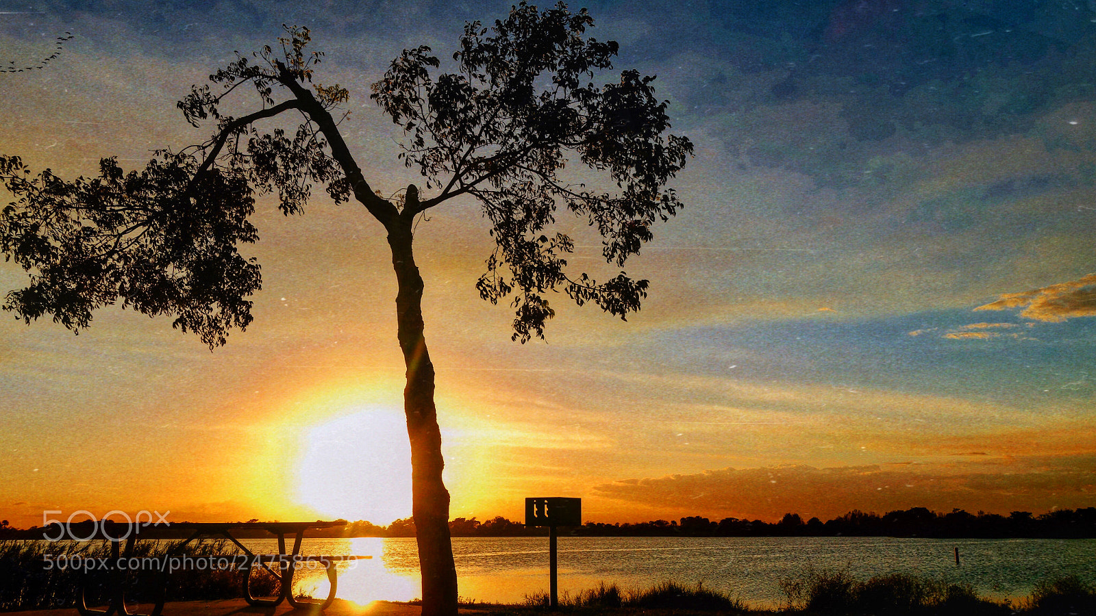 Sony Cyber-shot DSC-RX100 II sample photo. Sunset photography