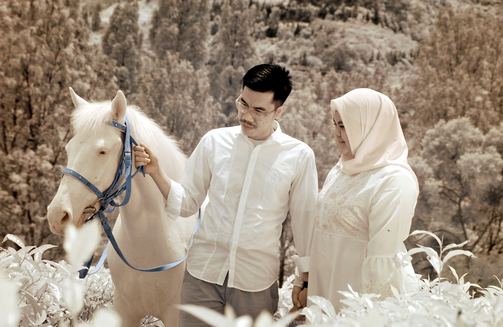 Nikon D80 sample photo. White photography