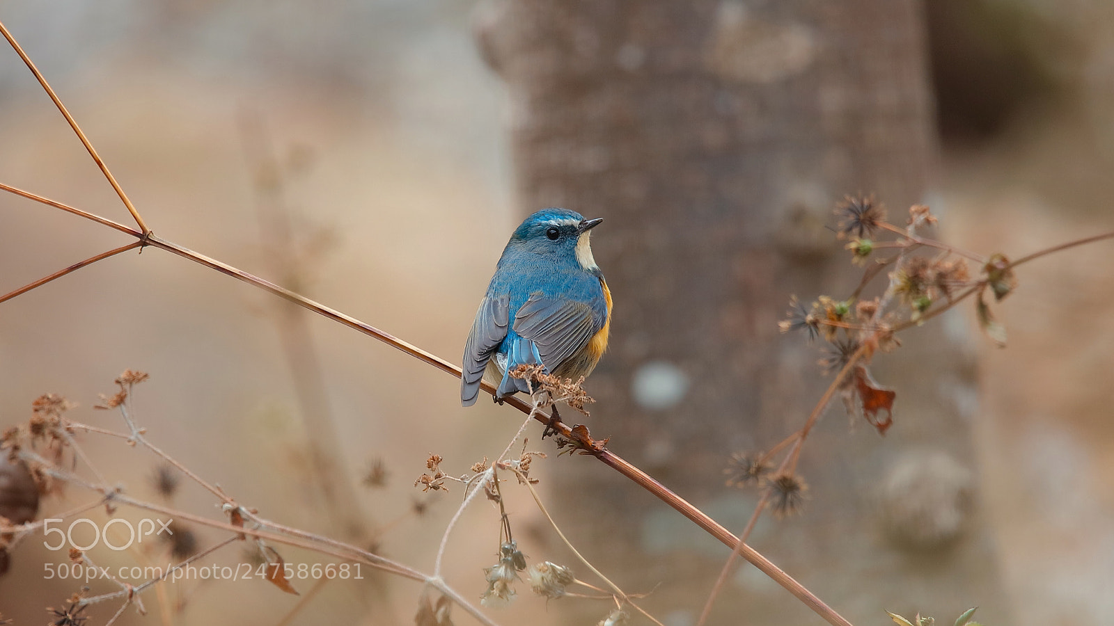 Canon EOS 5DS sample photo. Untitled photography