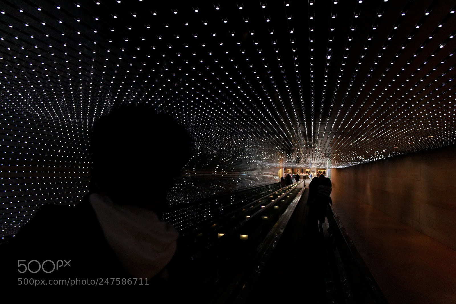 Canon EOS 1100D (EOS Rebel T3 / EOS Kiss X50) sample photo. Untitled photography