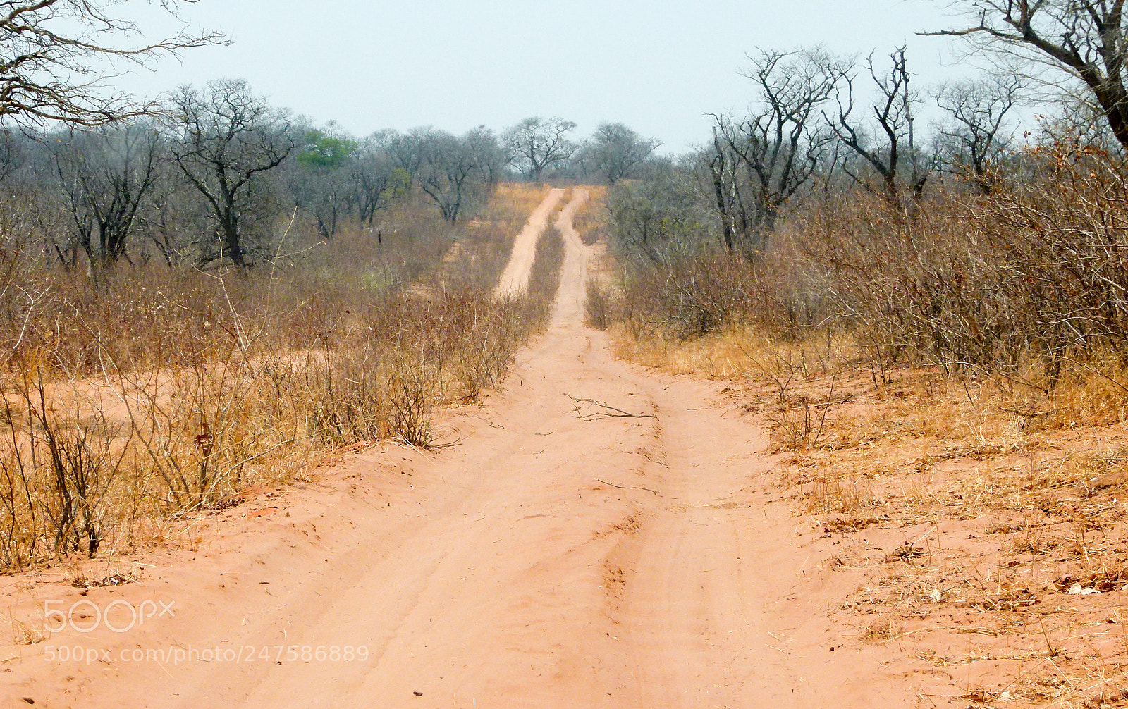 Panasonic Lumix DMC-FZ100 sample photo. African savanna street photography