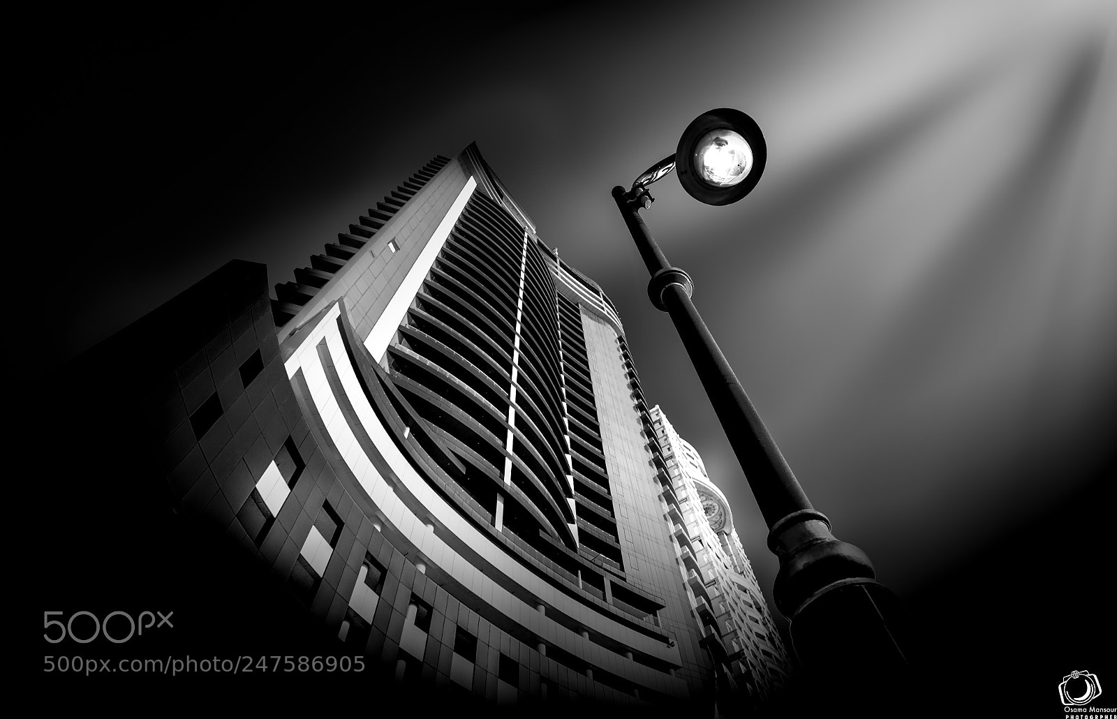 Nikon D610 sample photo. Special vision photography