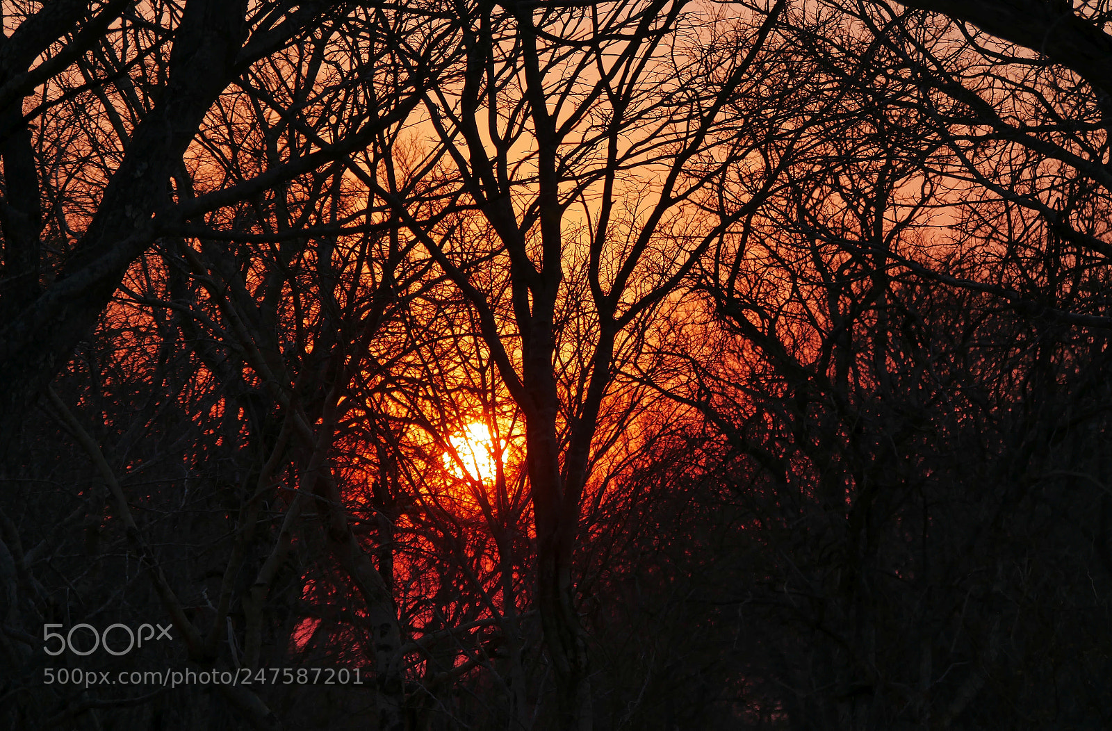 Panasonic DMC-G70 sample photo. Sundown in africa photography