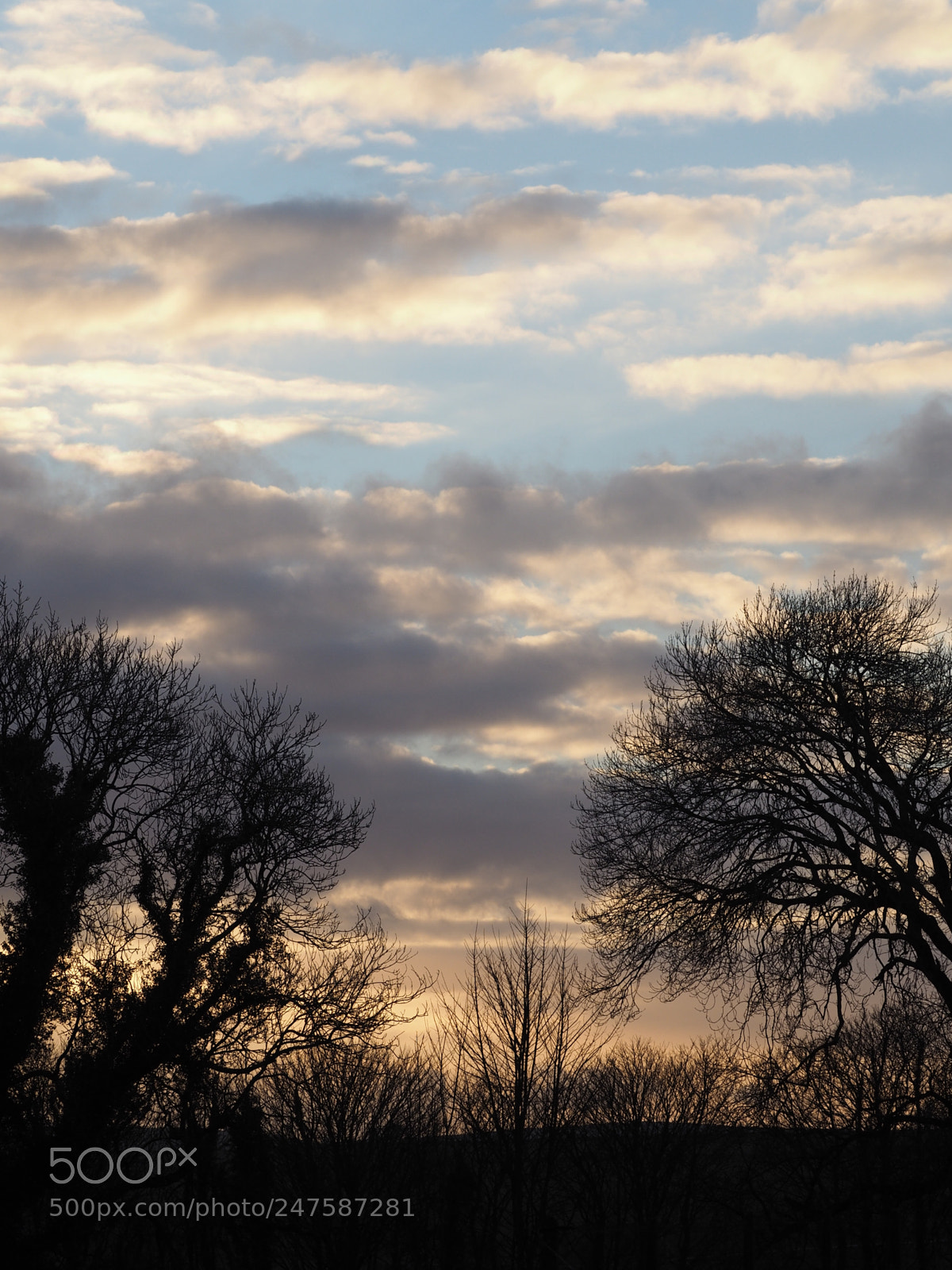 Olympus OM-D E-M5 II sample photo. Sun setting on spring photography