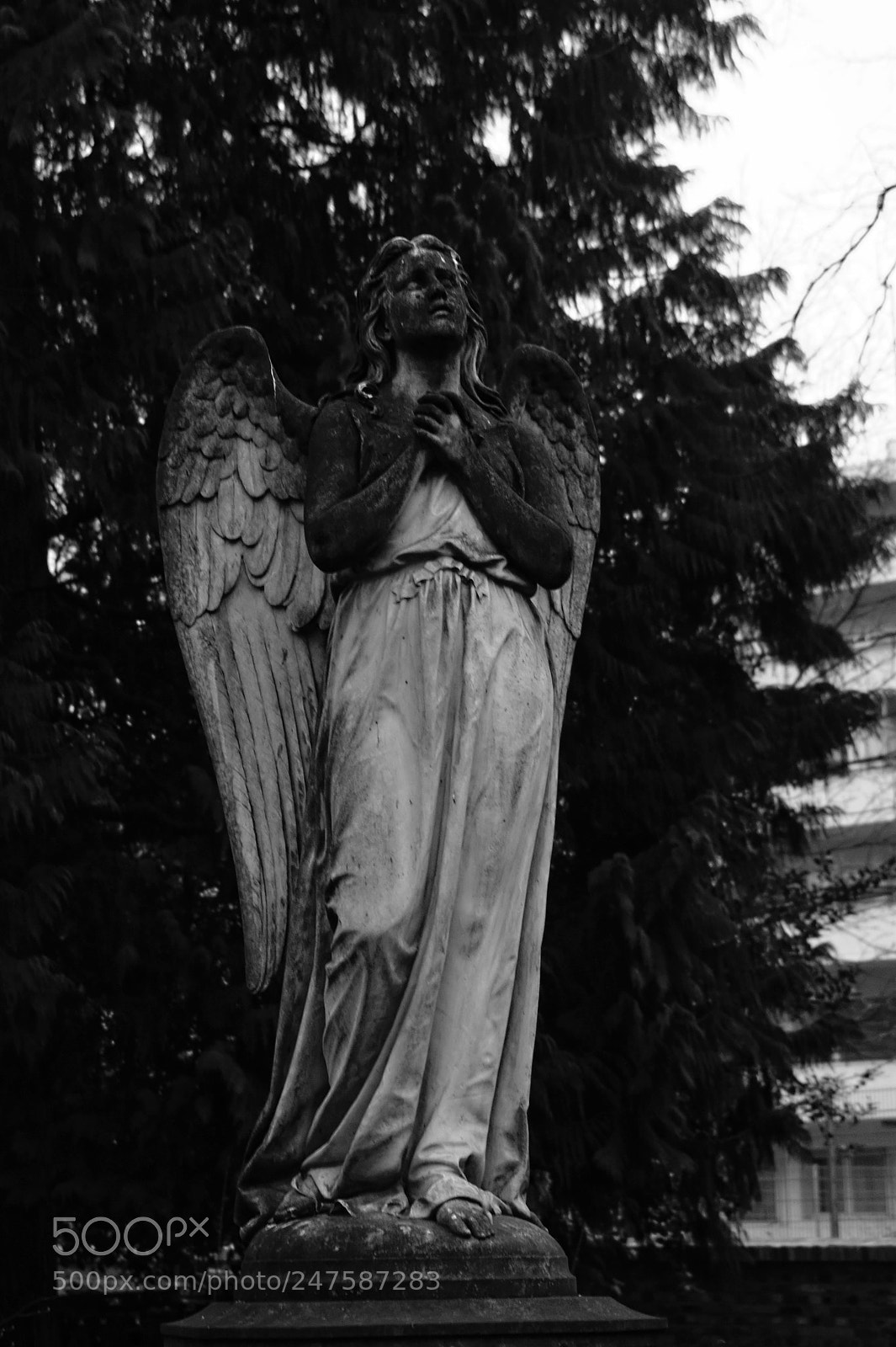 Sony Alpha DSLR-A290 sample photo. Salvation photography