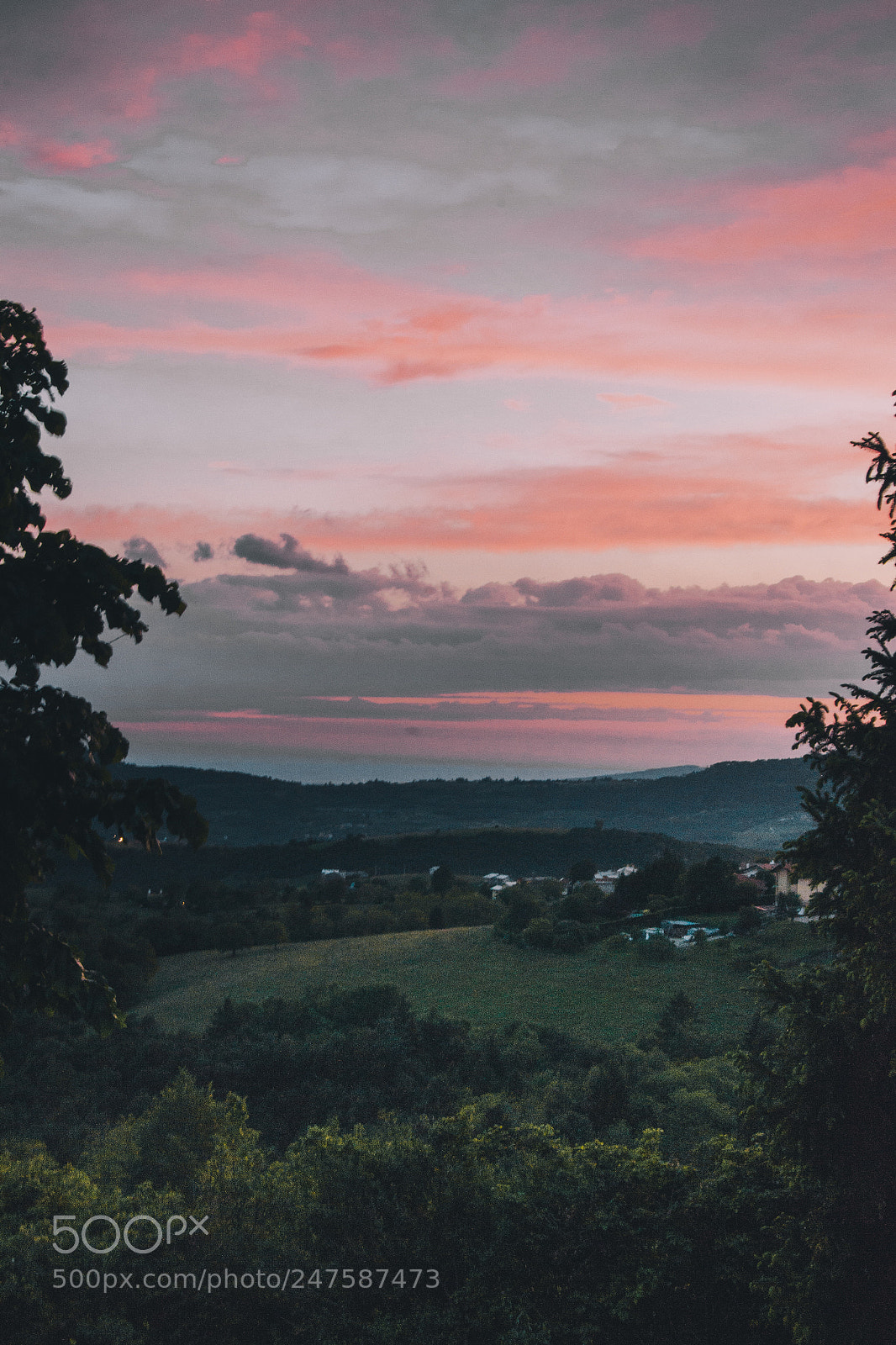 Nikon D3100 sample photo. Cotton candy photography