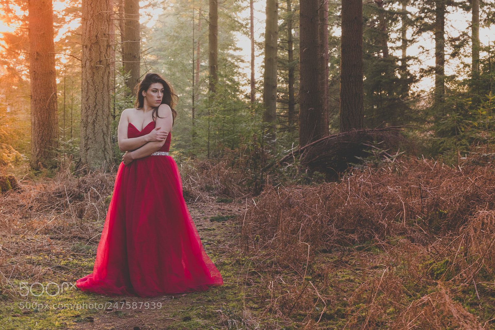Canon EOS 6D Mark II sample photo. New forest glamour photography