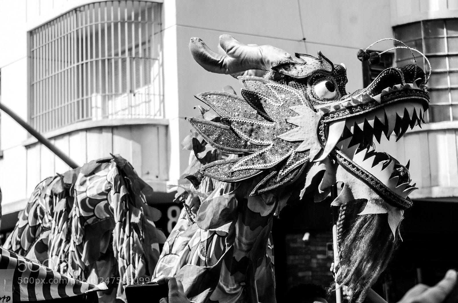 Pentax K-30 sample photo. Dragão photography