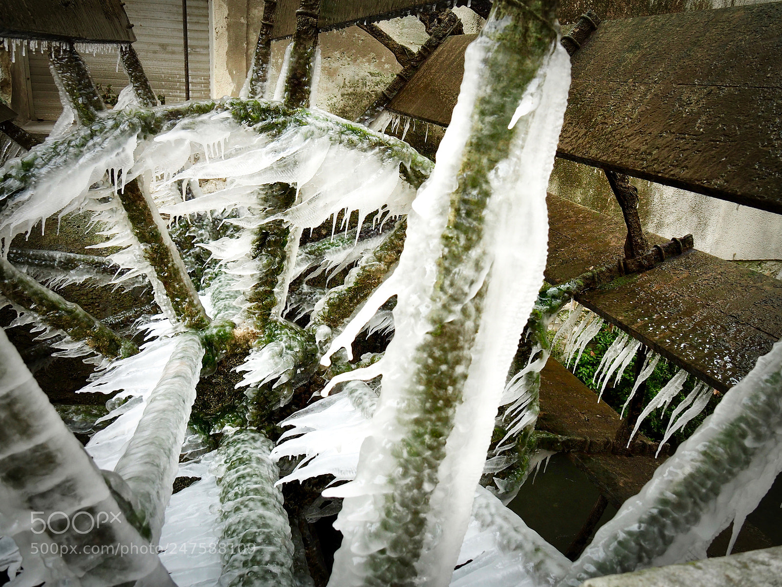Olympus OM-D E-M5 II sample photo. Overnight ice cold wind... photography