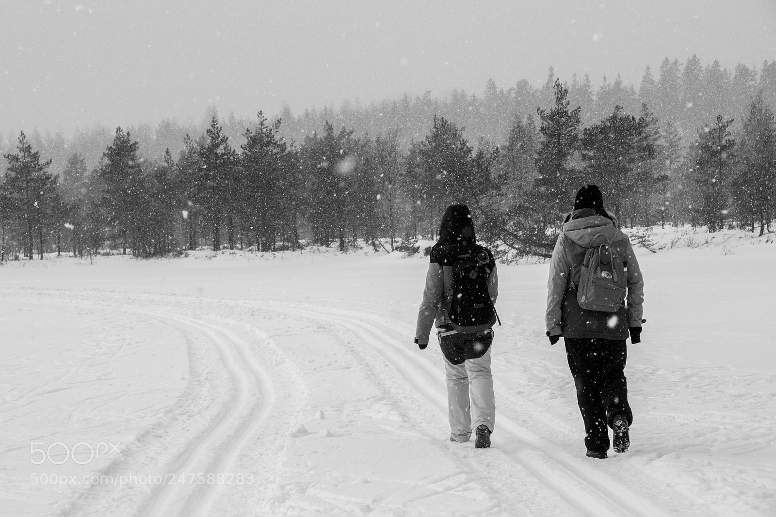 Sony Alpha DSLR-A700 sample photo. Black and white finland photography